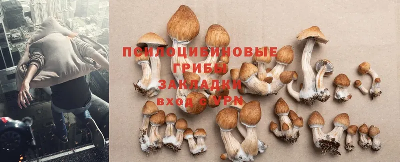 Псилоцибиновые грибы Magic Shrooms  Калтан 